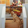 Portable Dog Safety Door Guard