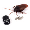 2019 New Tricky Toy - Remote Control Cockroach