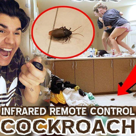 2019 New Tricky Toy - Remote Control Cockroach