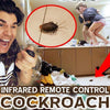 2019 New Tricky Toy - Remote Control Cockroach
