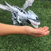 2019 Walking Dinosaur-Dragon Hybrid Toy