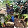 Automatic Garden Irrigation System