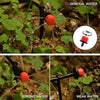 Automatic Garden Irrigation System