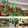 Automatic Garden Irrigation System