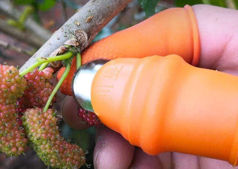 Thumb knife - Easy to Pick Vegetables & Fruits