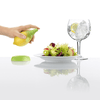 Citrus Sprayer