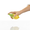 Citrus Sprayer