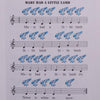 12 Hole Alto Tone Smoldering Ocarina