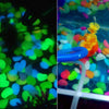 50Pcs Glow in the Dark Garden Pebbles Glow Stones