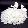 50Pcs Glow in the Dark Garden Pebbles Glow Stones