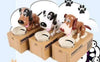 Dog Piggy Bank