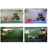 Eco-Aquarium Water Purifier Cube