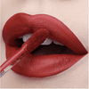 Everlasting Matte Liquid Lipstick