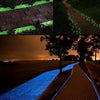 Glow-In-The-Dark Luminous Garden Pebbles(100 Pebbles)