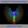 Gotolovely™ LED Butterfly Wings