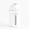 Hey Dewy Portable Facial Humidifier