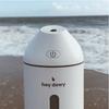 Hey Dewy Portable Facial Humidifier