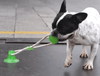 【Highest monthly sales】Flexible Pet Molar Bite Toy