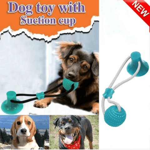 【Highest monthly sales】Flexible Pet Molar Bite Toy