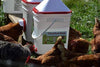 Horizontal Side Mount Chicken Waterer（Buy more save more）