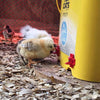 Horizontal Side Mount Chicken Waterer（Buy more save more）