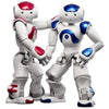 Hot sale-Lawrence Smart Robot