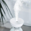 Universal Air Humidifier Mini USB Mist Cooler