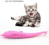 Interactive Cat Toothbrush