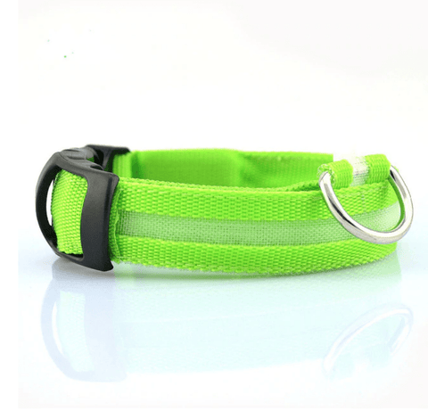 KindlePaws LED Dog Collar