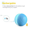 LED PET MOTION BALL