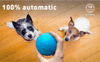 LED PET MOTION BALL