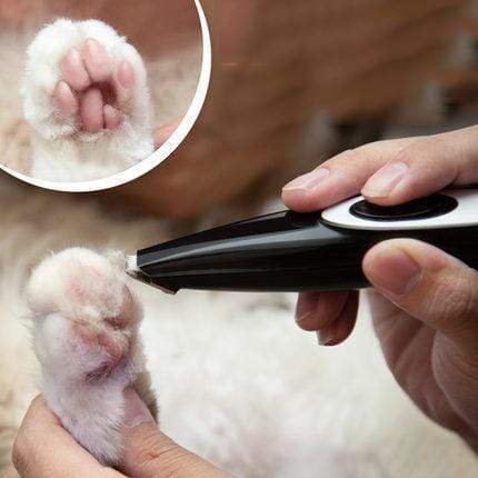 Low Noise Electric Pet Grooming-Pet local trimmer