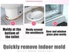 Mold Removing Gel