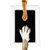 Paw Print Pad (2 pads/set)