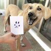 Paw Print Pad (2 pads/set)