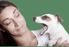 Premium Pet Dental Spray