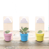 Rain Cloud Watering Pot