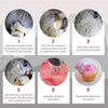 Russian Tulip Icing Piping Nozzles by BakersPRO™ - 7/14pcs Set