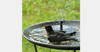 Solar Powered Fountain Pump