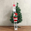The climbing santa claus