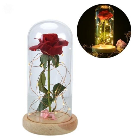 The Enchanted Rose