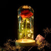 The Enchanted Rose