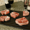 The Original Fast Defrost Tray