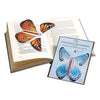（Time-limited bonus）The Magic Butterfly（Color random）