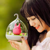 Totoro Night Sleepmate (All New Touch Sensor Activation)