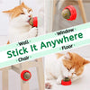 TumballCat Rolling Ball
