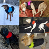 Winter Dog Vest