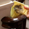 Wood Seasoning Beewax ( Buy more save more! )